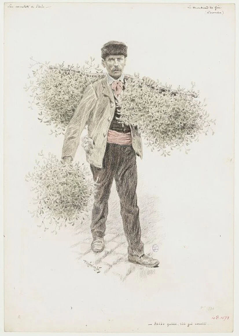 19th-century sketch of a French mistletoe merchant with festive bundles, Paul Adolphe Kauffman, Musée Carnavalet, Paris