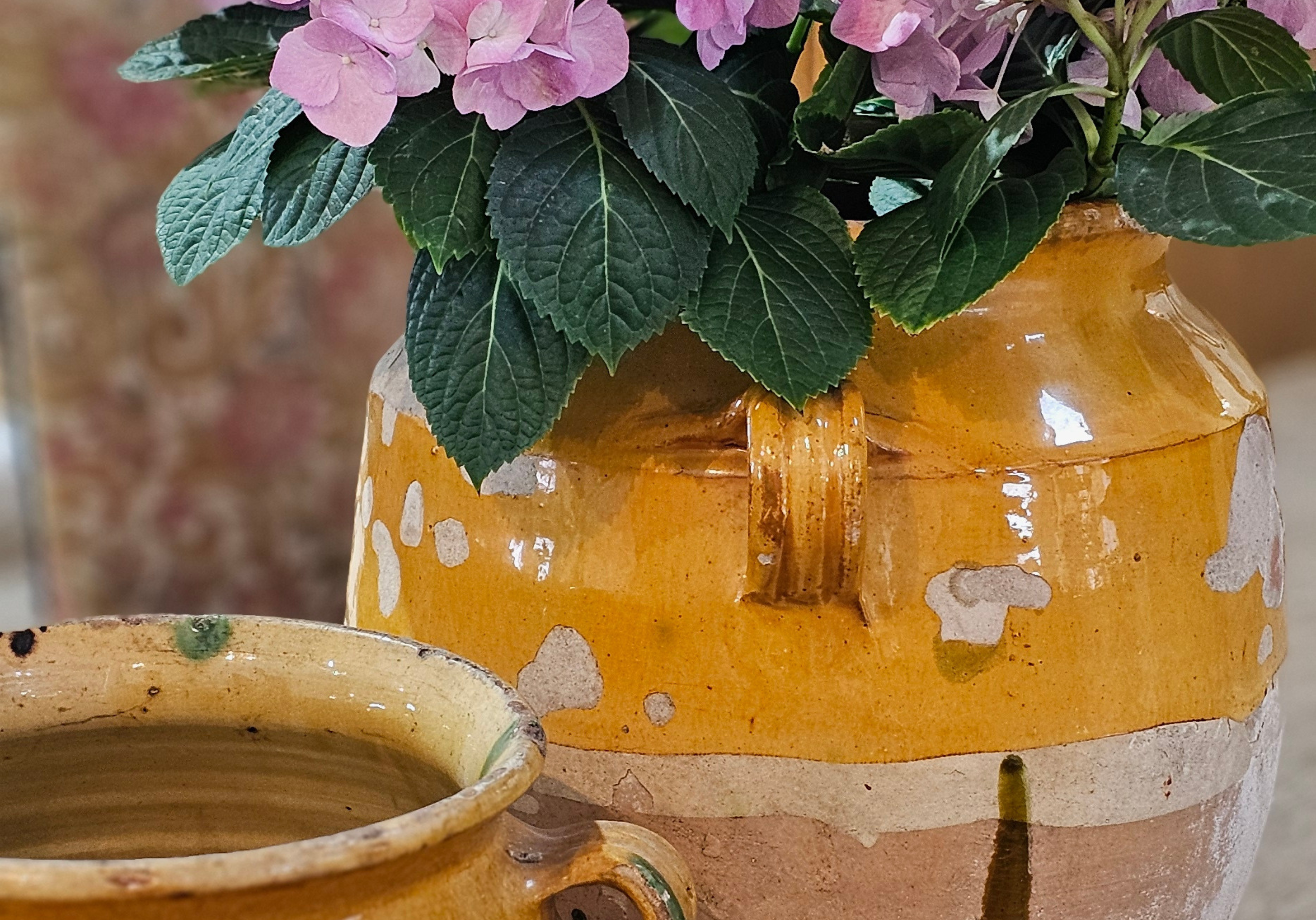 Crusty mustard yellow confit pots with pink hydrangeas