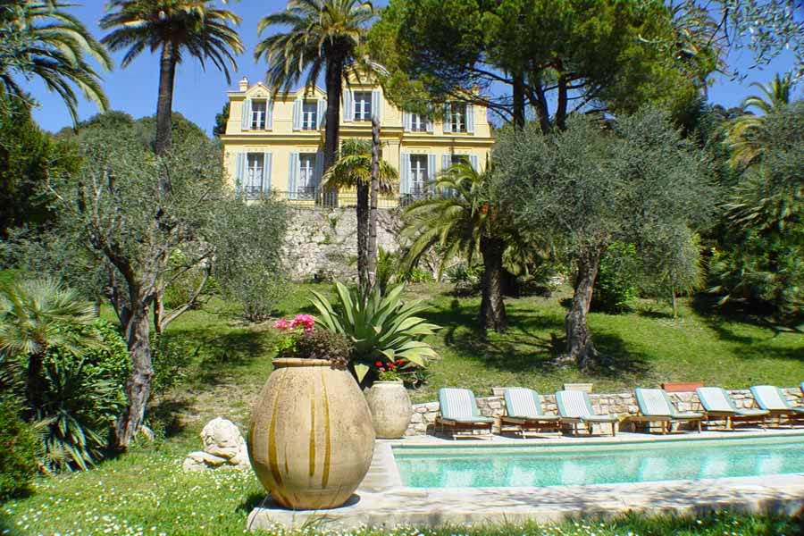 Photo of a jarre de biot with mother in law tears placed beside a swimming pool in Provence.