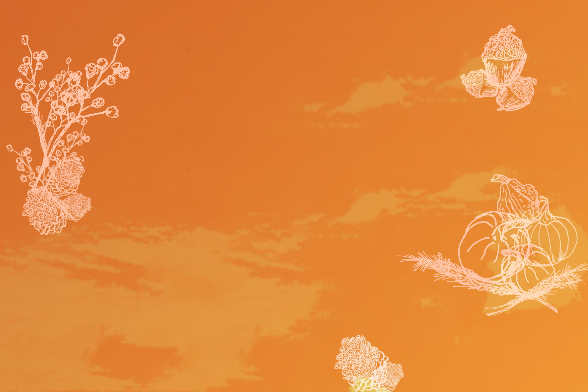 Describes the appearance of the image