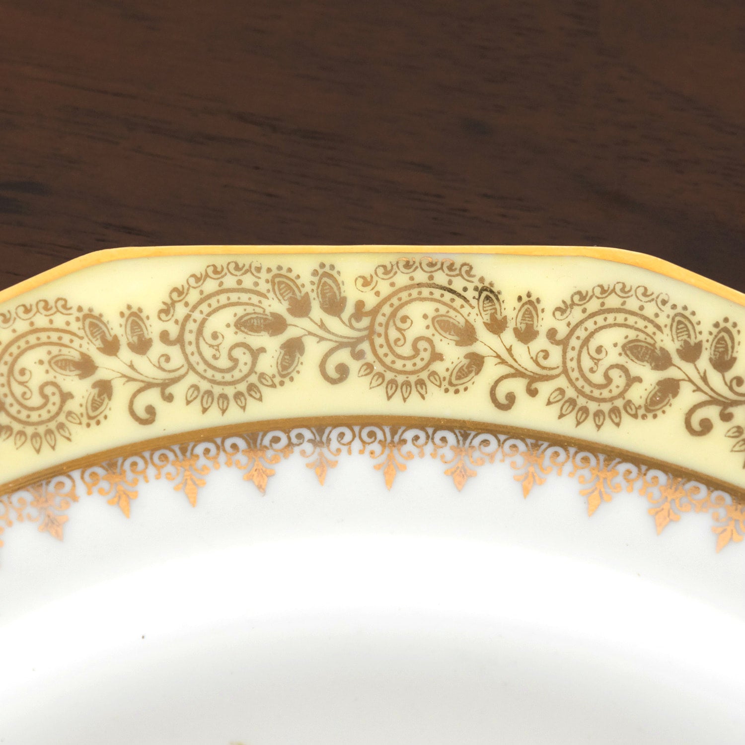 French Limoges Porcelain Fish Service by Chatelaud