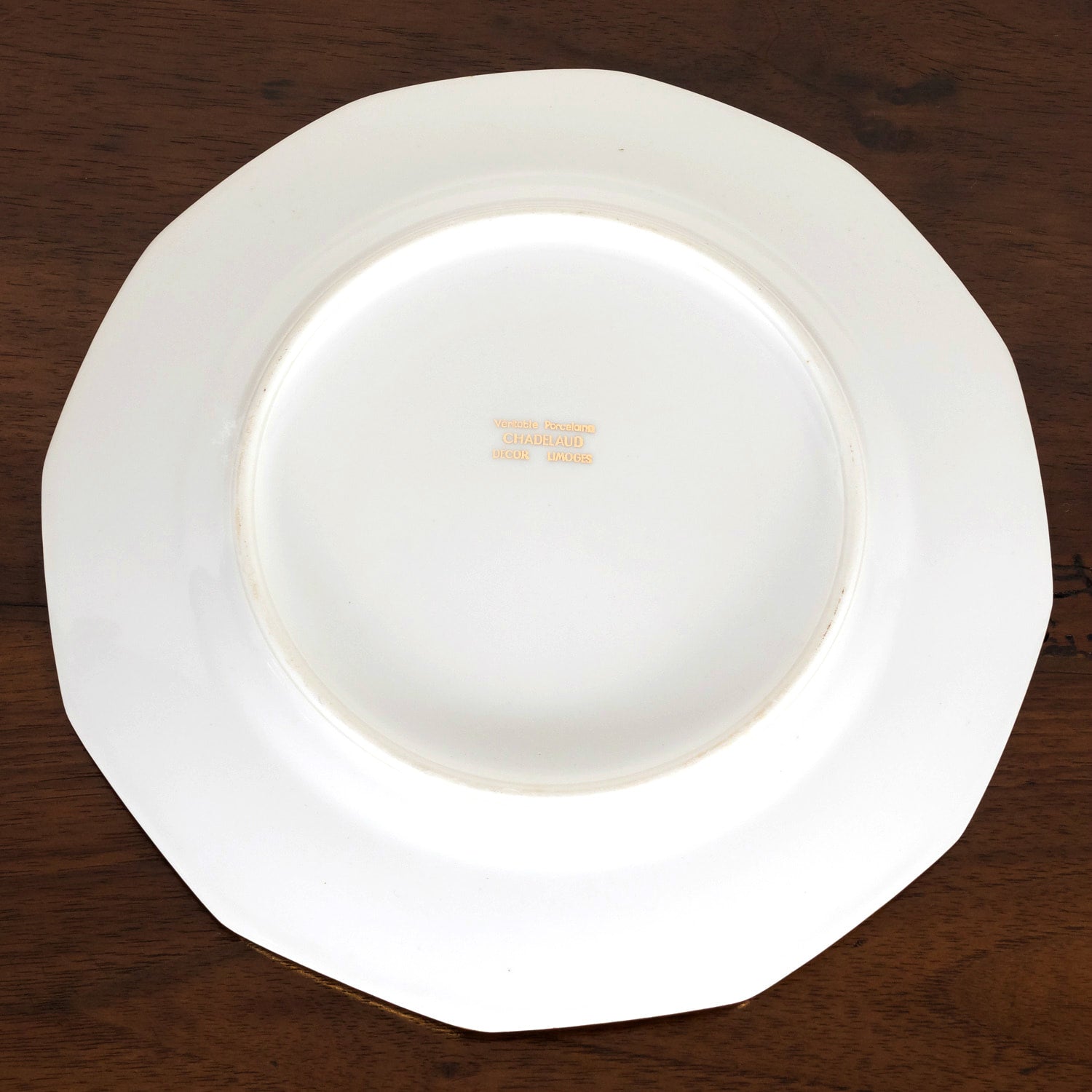 French Limoges Porcelain Fish Service by Chatelaud