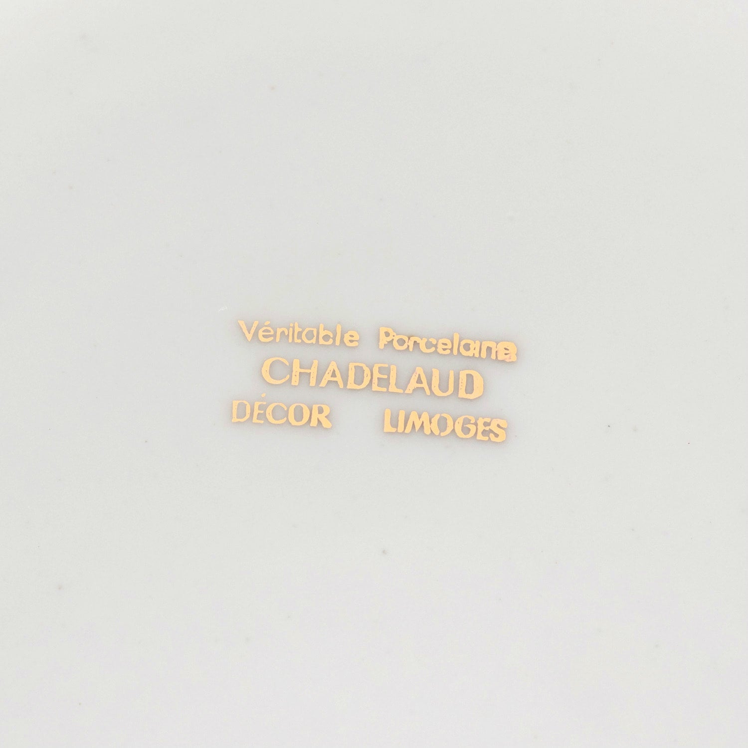 French Limoges Porcelain Fish Service by Chatelaud