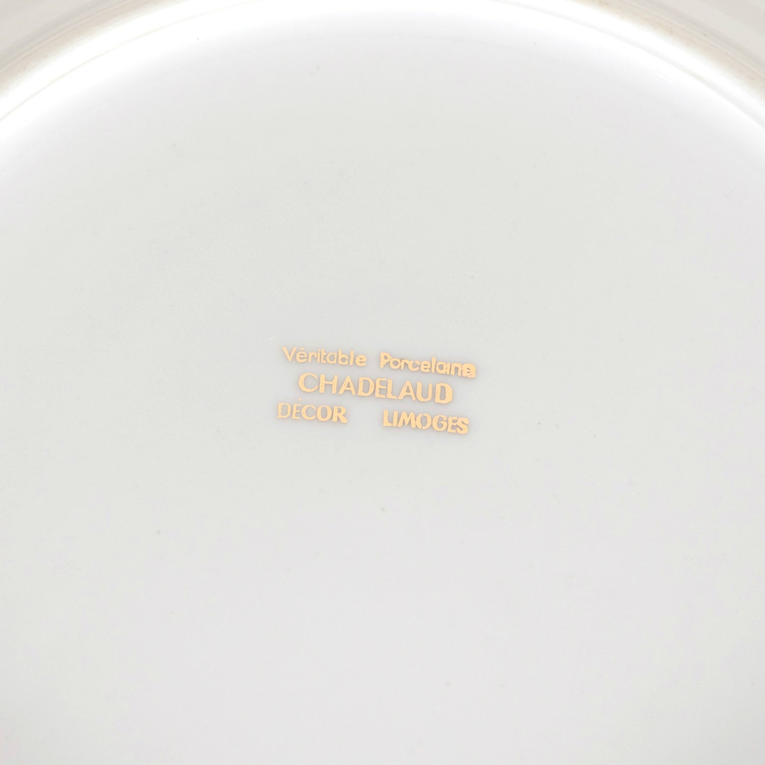 French Limoges Porcelain Fish Service by Chatelaud