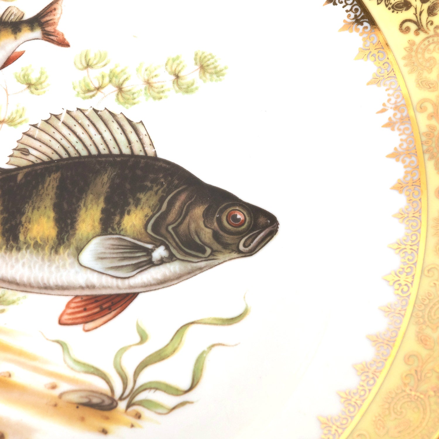 French Limoges Porcelain Fish Service by Chatelaud