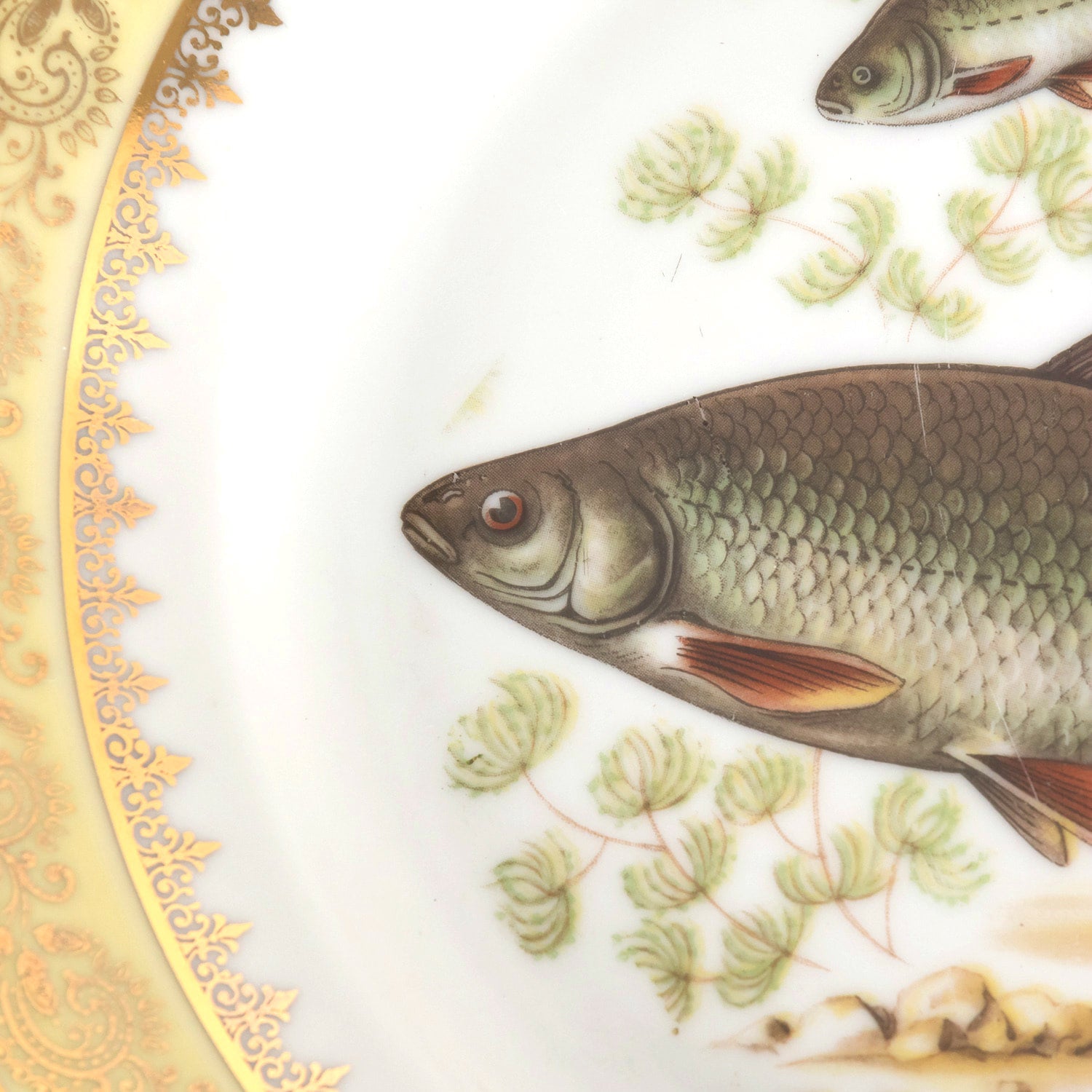 French Limoges Porcelain Fish Service by Chatelaud