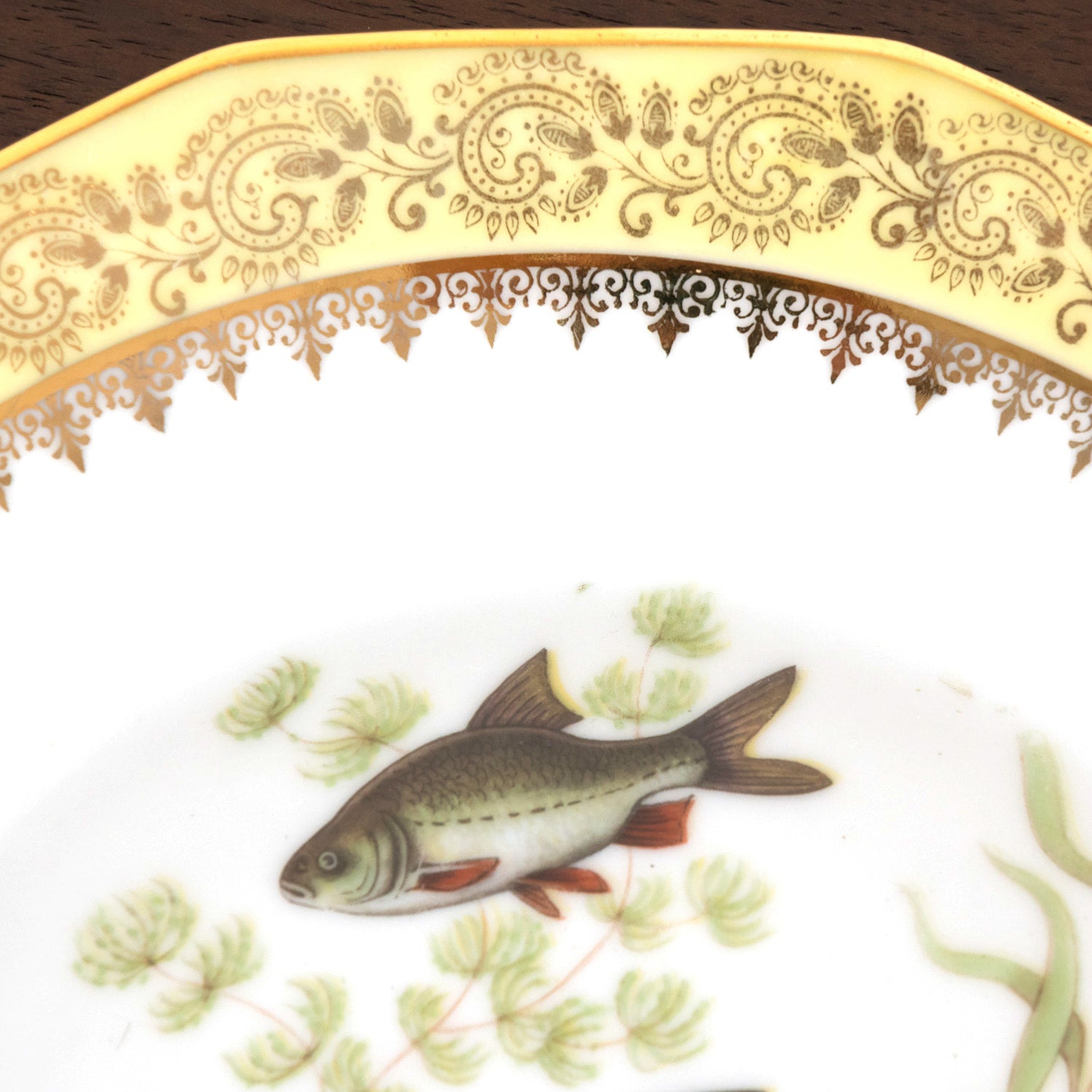 French Limoges Porcelain Fish Service by Chatelaud