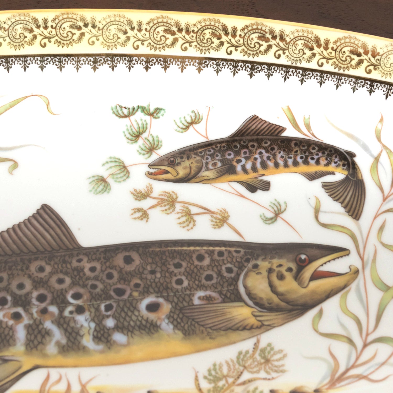 French Limoges Porcelain Fish Service by Chatelaud
