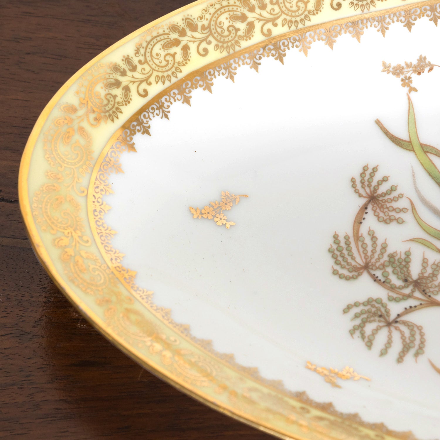 French Limoges Porcelain Fish Service by Chatelaud