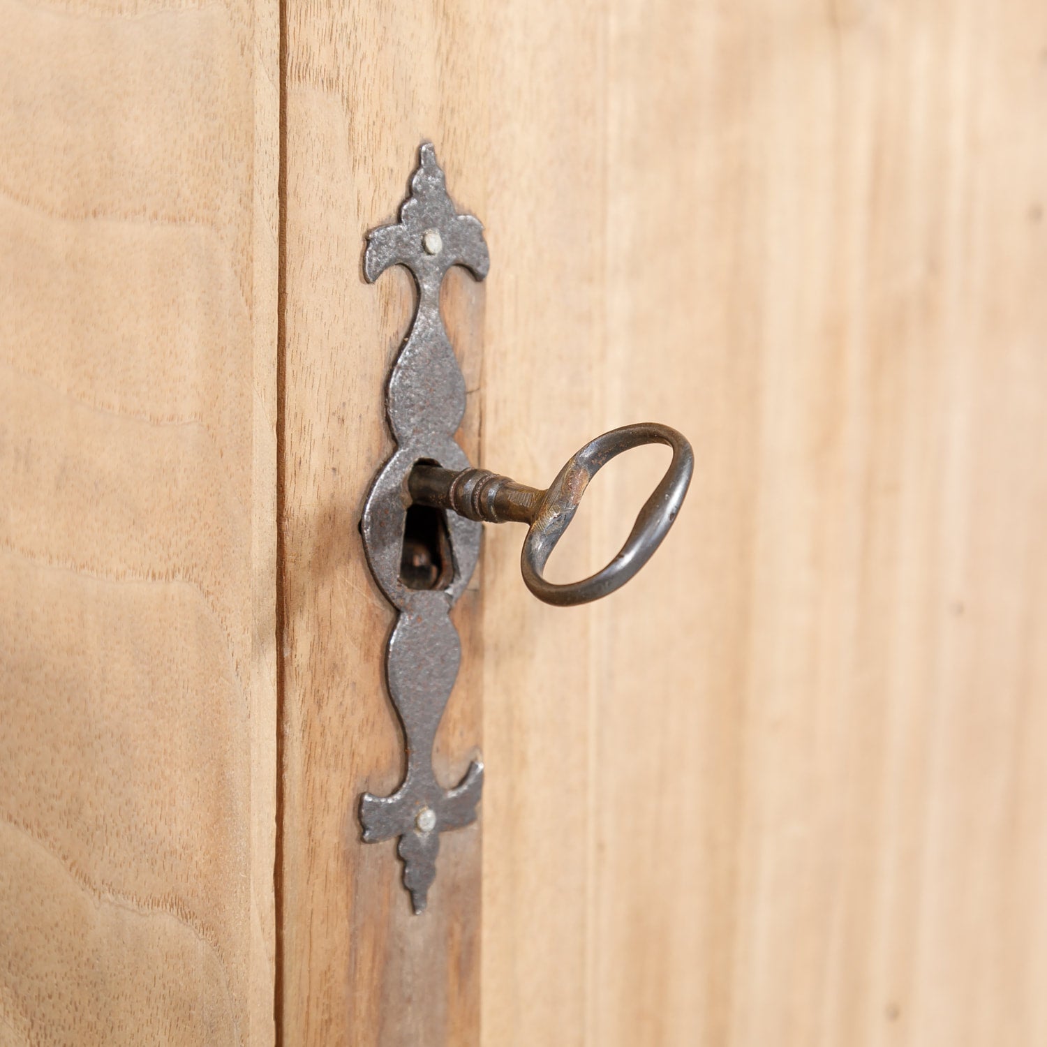 Monumental 18th Century French Directoire Period Bleached Walnut Placard or Wardrobe
