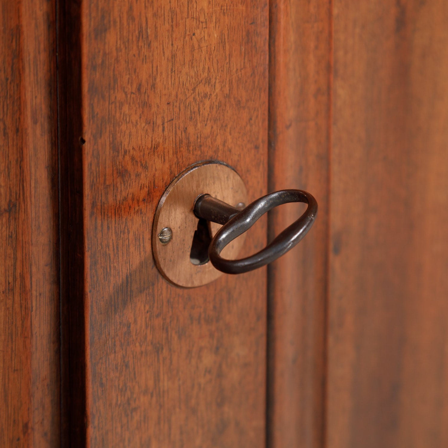 Monumental French Louis Philippe Period Lyonnais Bibliotheque or Bookcase