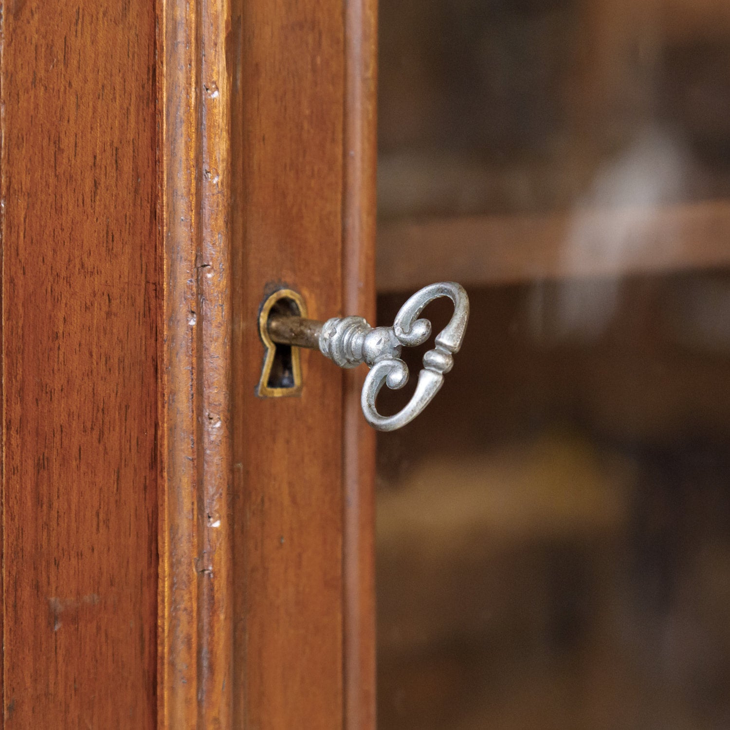 19th Century French Louis Philippe Style Walnut Bibliotheque or Bookcase
