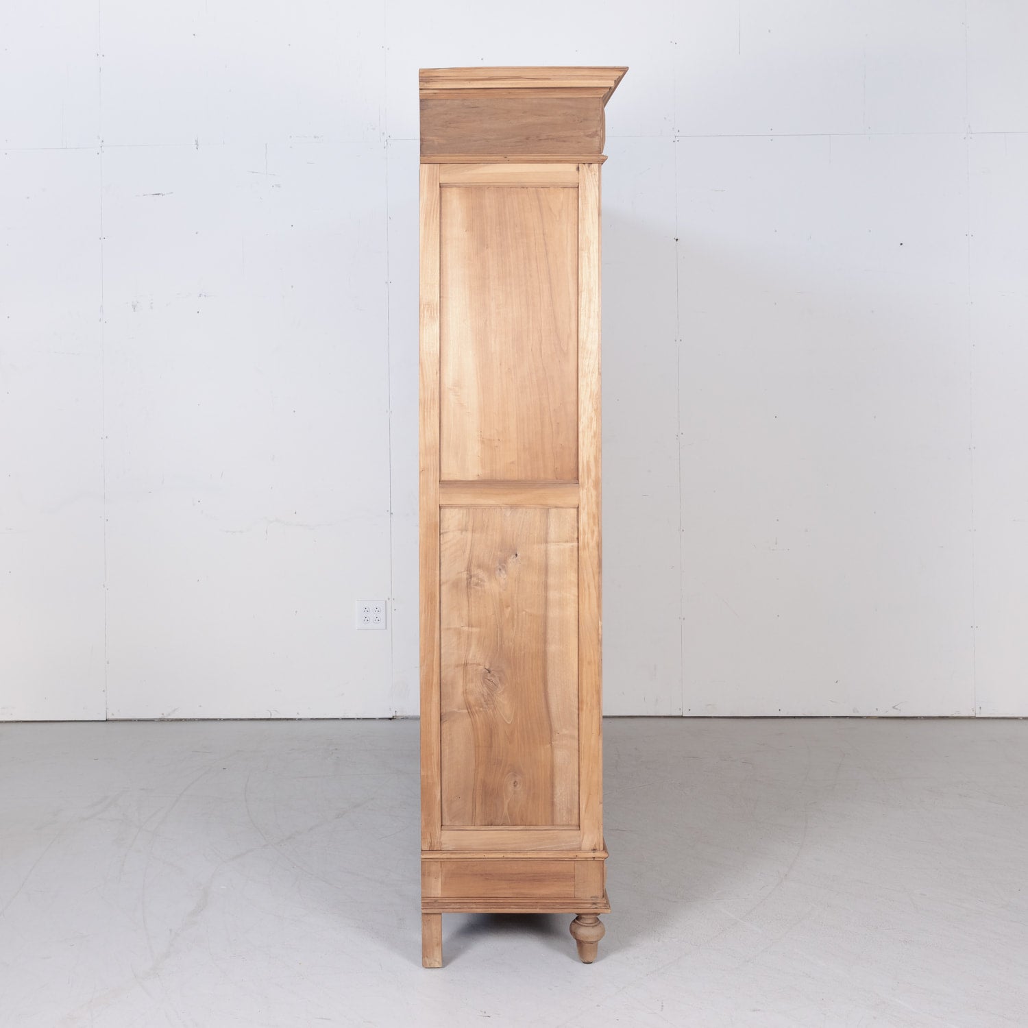 Large 19th Century French Renaissance Revival Bleached Placard or Armoire