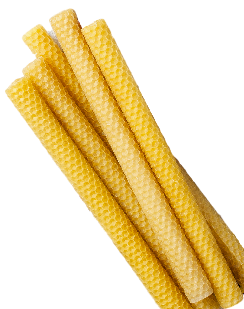 Lucienne Hand Rolled French Beeswax Alter Candles from Provence, Box of 9  