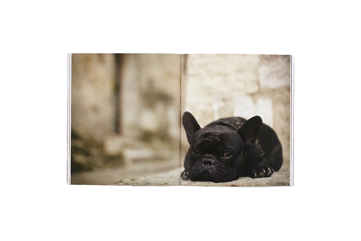 The French Dog (Mini) by Rachael Hale McKenna