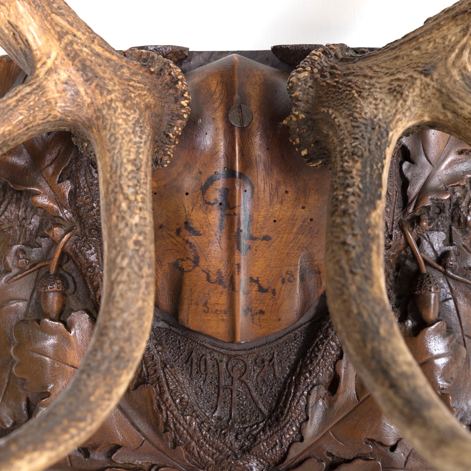 Hand Carved Swiss Black Forest Trophy Plaque with Antlers