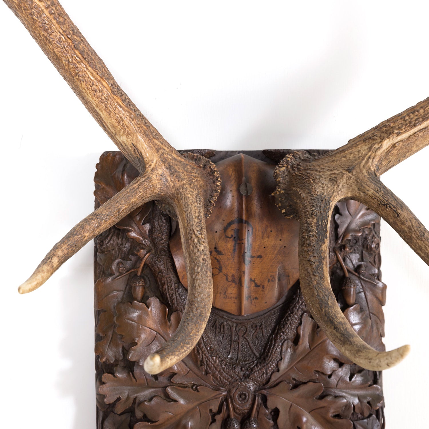 Hand Carved Swiss Black Forest Trophy Plaque with Antlers