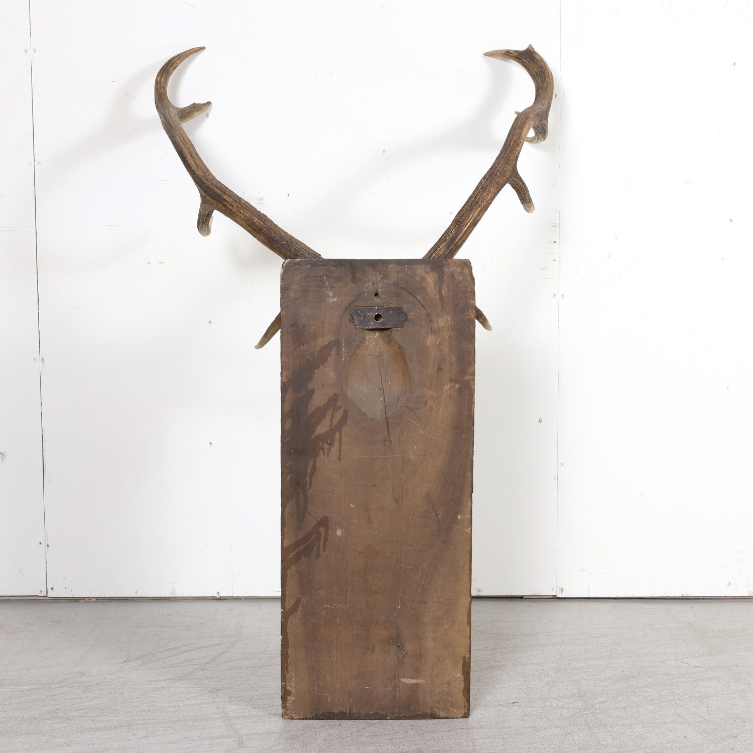 Hand Carved Swiss Black Forest Trophy Plaque with Antlers