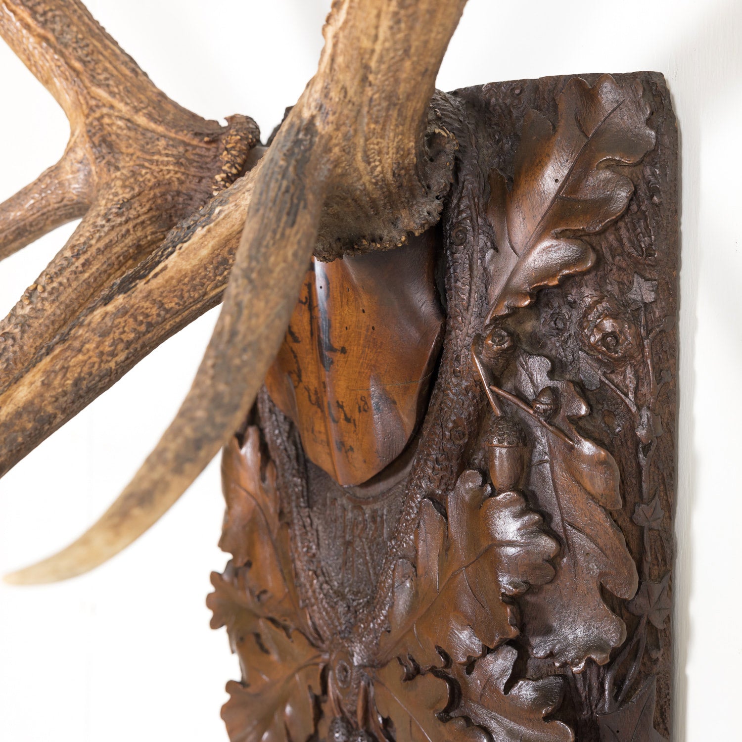 Hand Carved Swiss Black Forest Trophy Plaque with Antlers