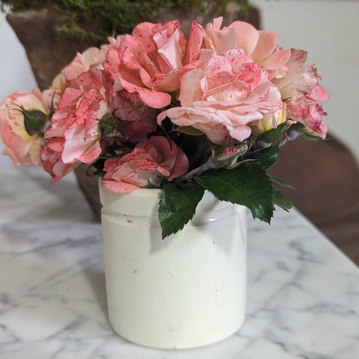 Small 19th Century Antique French Ironstone Preserving Pots or Pots à Confiture